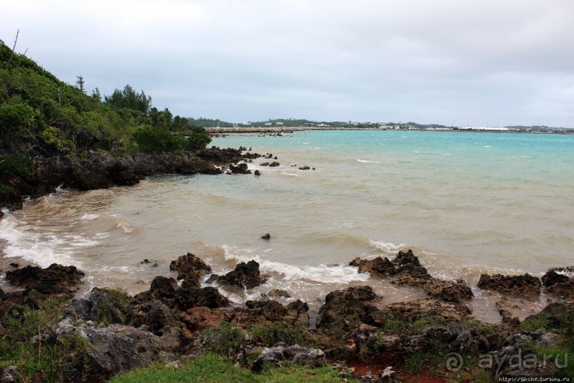 У природы нет плохой погоды (кусочек полудиких Бермуд)