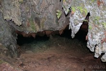 У природы нет плохой погоды (кусочек полудиких Бермуд)