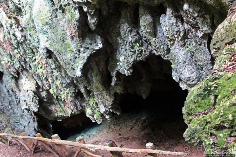 У природы нет плохой погоды (кусочек полудиких Бермуд)