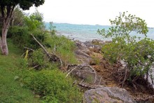 У природы нет плохой погоды (кусочек полудиких Бермуд)