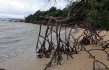 У природы нет плохой погоды (кусочек полудиких Бермуд)