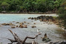 У природы нет плохой погоды (кусочек полудиких Бермуд)