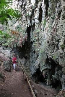 У природы нет плохой погоды (кусочек полудиких Бермуд)