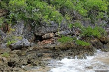 У природы нет плохой погоды (кусочек полудиких Бермуд)