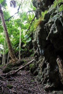 У природы нет плохой погоды (кусочек полудиких Бермуд)