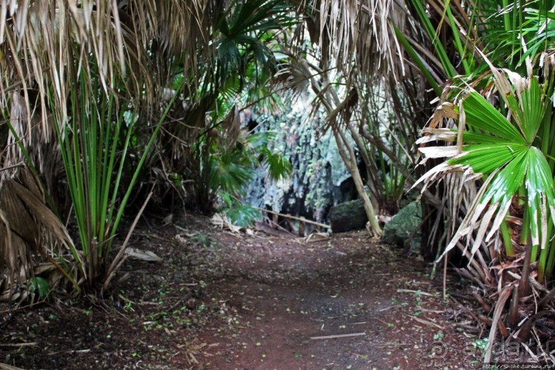 У природы нет плохой погоды (кусочек полудиких Бермуд)