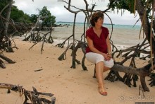 У природы нет плохой погоды (кусочек полудиких Бермуд)