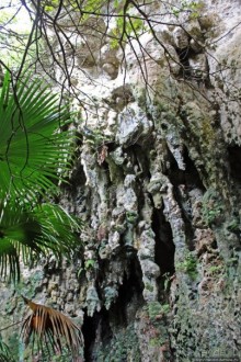 У природы нет плохой погоды (кусочек полудиких Бермуд)