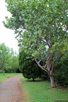У природы нет плохой погоды (кусочек полудиких Бермуд)