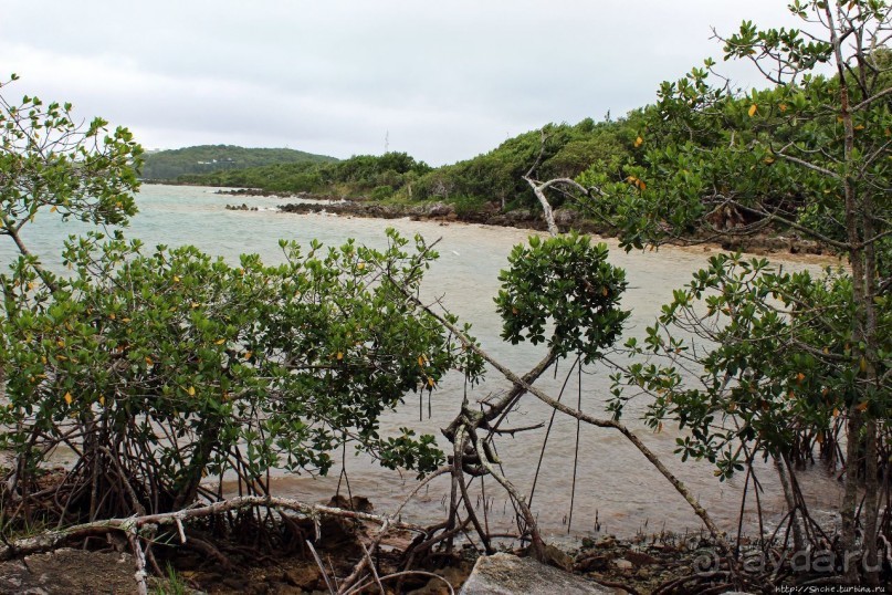 У природы нет плохой погоды (кусочек полудиких Бермуд)