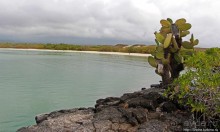 Альбом отзыва "Playa Mansa — идеальная бухта для купания и неги"