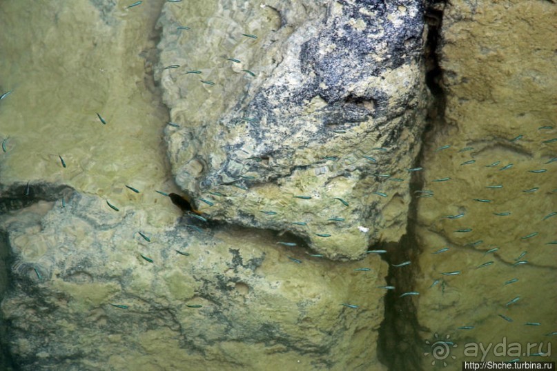 Playa Mansa — идеальная бухта для купания и неги