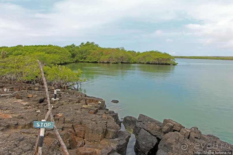 Playa Mansa — идеальная бухта для купания и неги