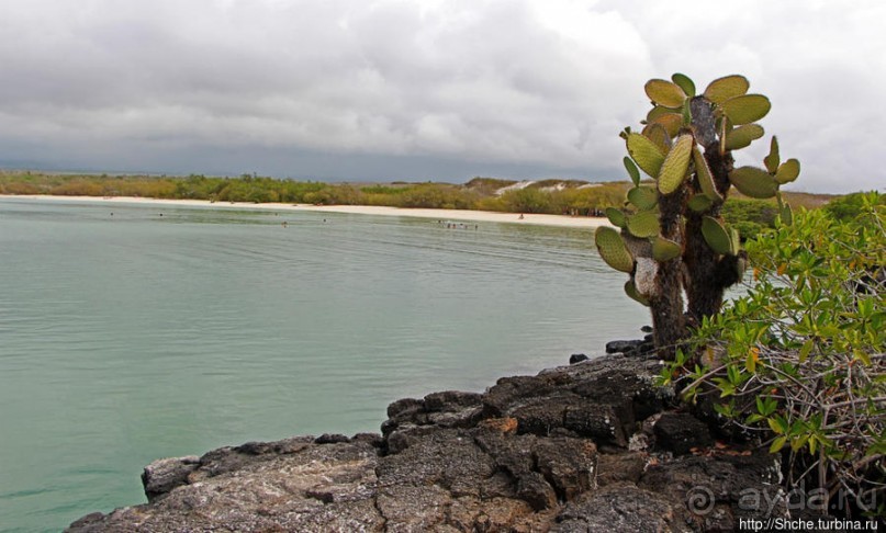 Playa Mansa — идеальная бухта для купания и неги