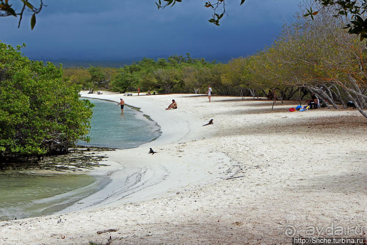 Playa Mansa — идеальная бухта для купания и неги