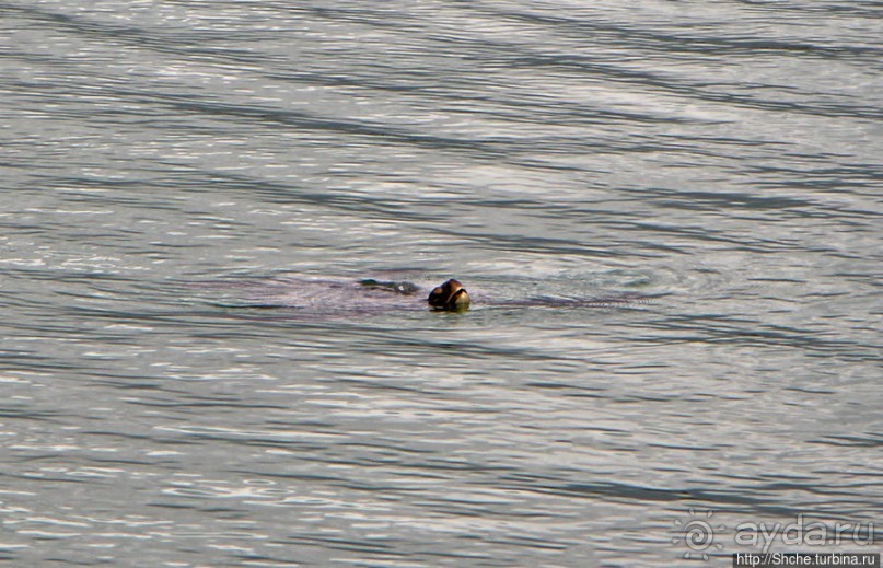 Playa Mansa — идеальная бухта для купания и неги