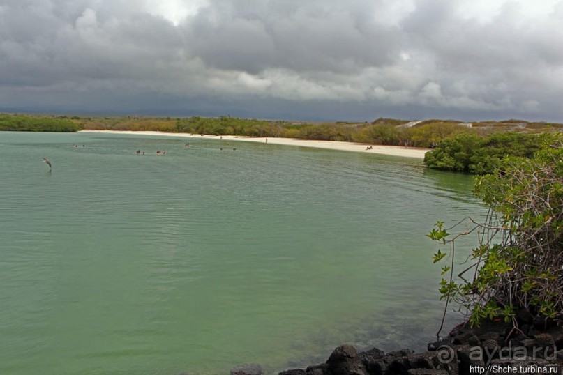Playa Mansa — идеальная бухта для купания и неги
