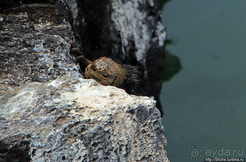 Playa Mansa — идеальная бухта для купания и неги
