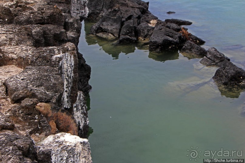 Playa Mansa — идеальная бухта для купания и неги