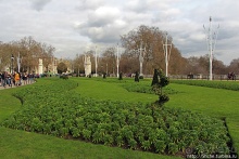 Облом у Букингемского дворца, или по улице коней водили