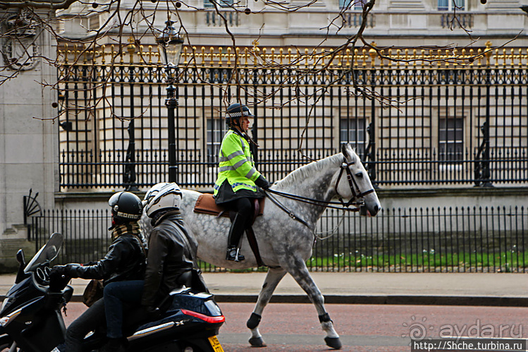 Облом у Букингемского дворца, или по улице коней водили