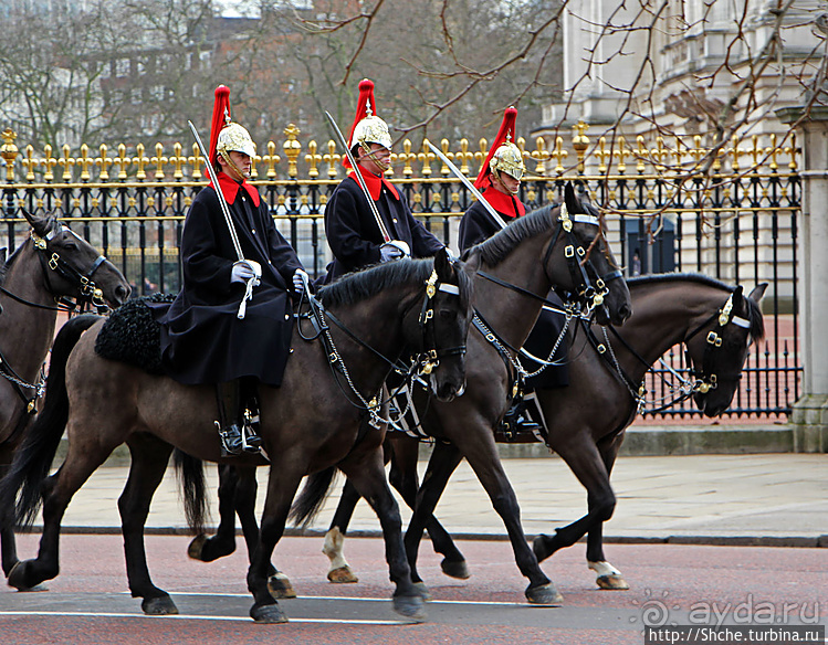 Облом у Букингемского дворца, или по улице коней водили