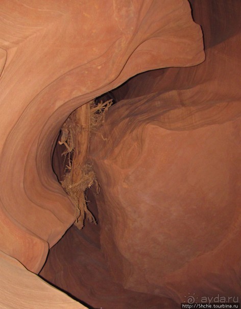 Каньон Антилопы — бриллиант земли Навахо