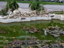 Немного осени а Приморском парке