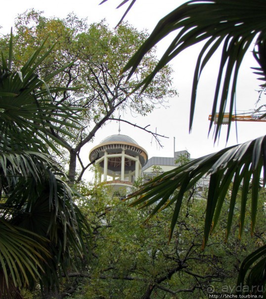 Немного осени а Приморском парке