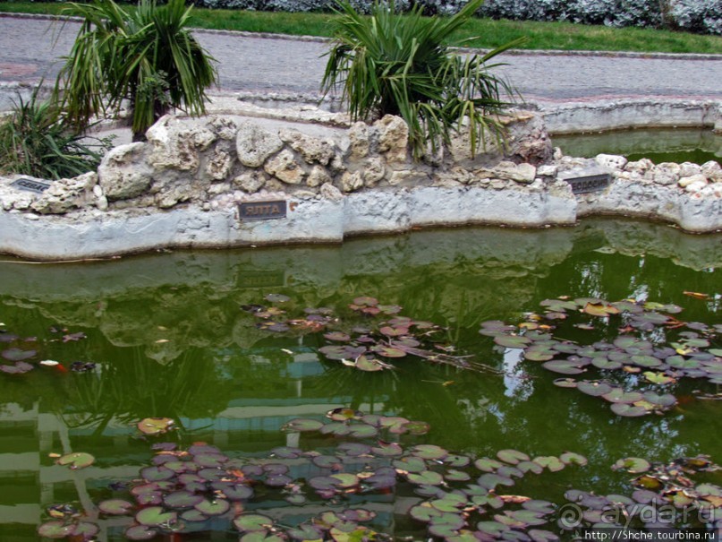 Немного осени а Приморском парке