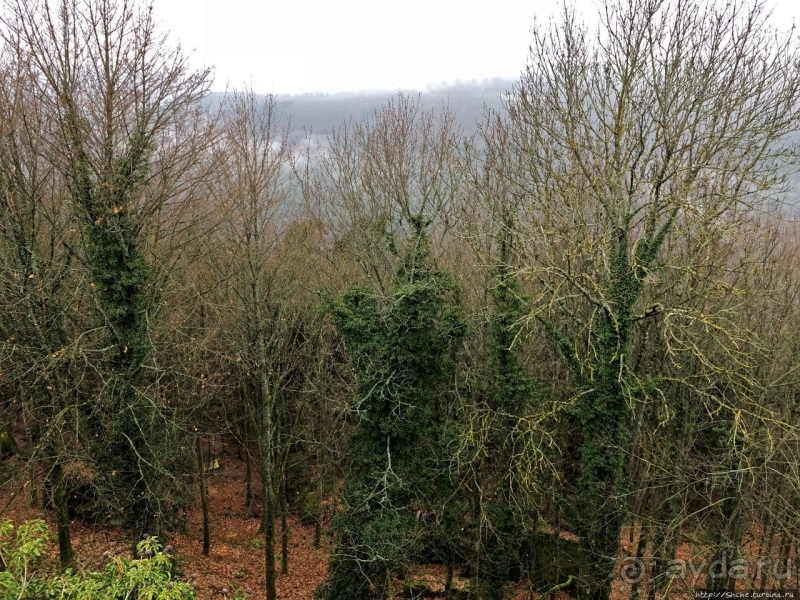 Haut-Barr — "Око Эльзаса". Пара "если", и лучшие панорамы