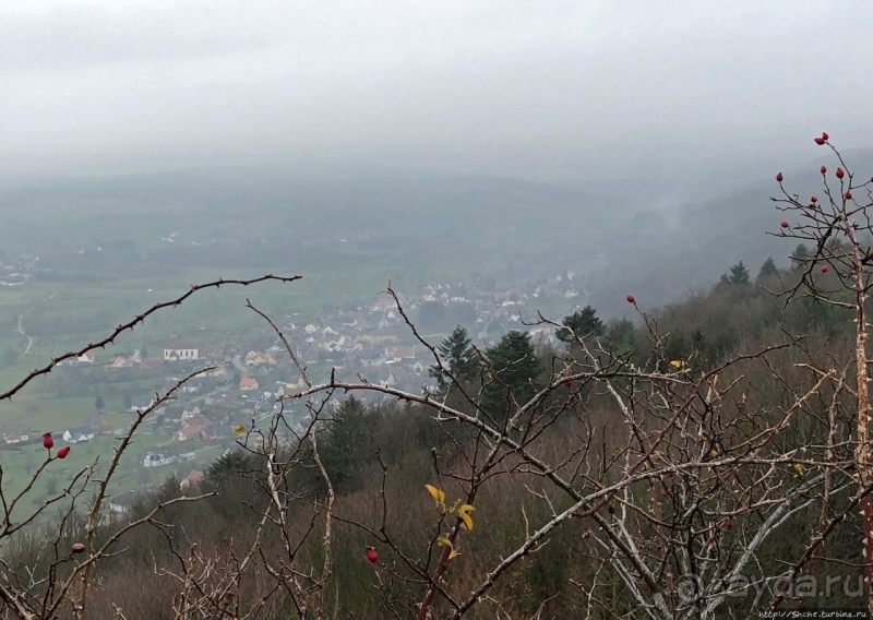 Haut-Barr — "Око Эльзаса". Пара "если", и лучшие панорамы