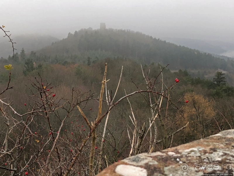 Haut-Barr — "Око Эльзаса". Пара "если", и лучшие панорамы