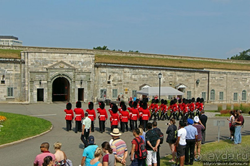 Альбом отзыва "По плацу козла водили"