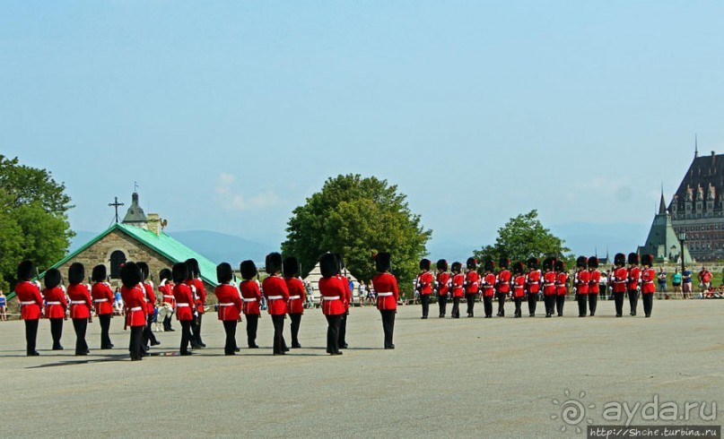 По плацу козла водили