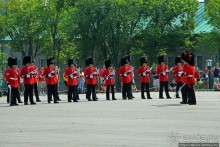 По плацу козла водили