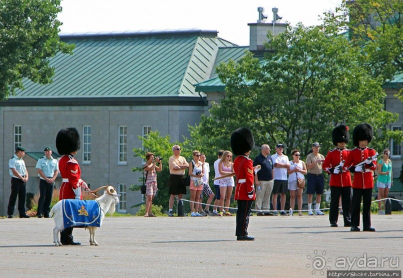 По плацу козла водили
