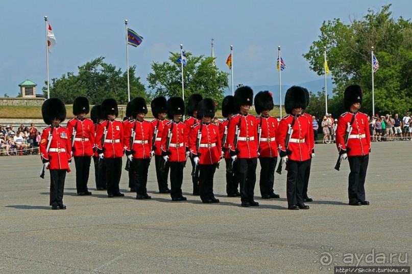 По плацу козла водили