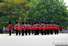 По плацу козла водили