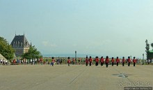 По плацу козла водили