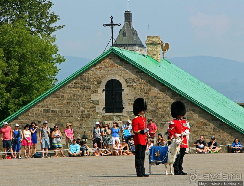 По плацу козла водили