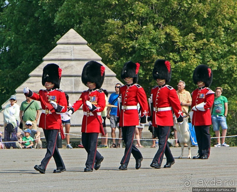 По плацу козла водили