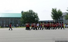 По плацу козла водили