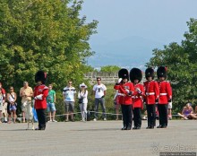 По плацу козла водили