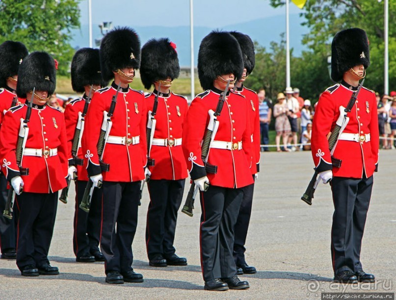 По плацу козла водили
