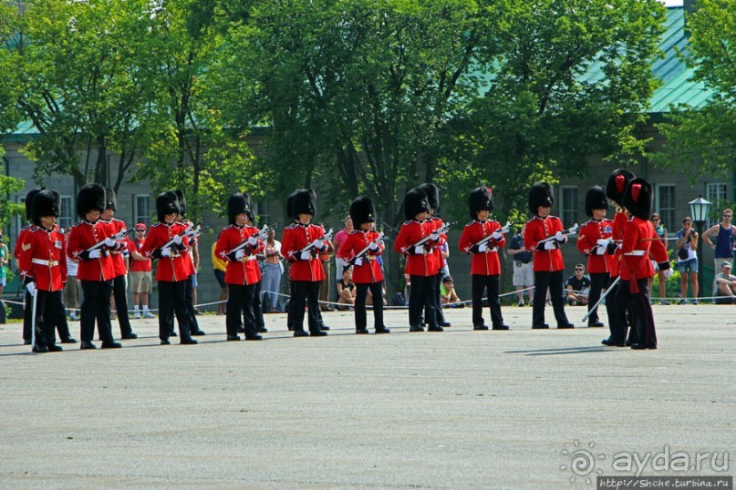 По плацу козла водили