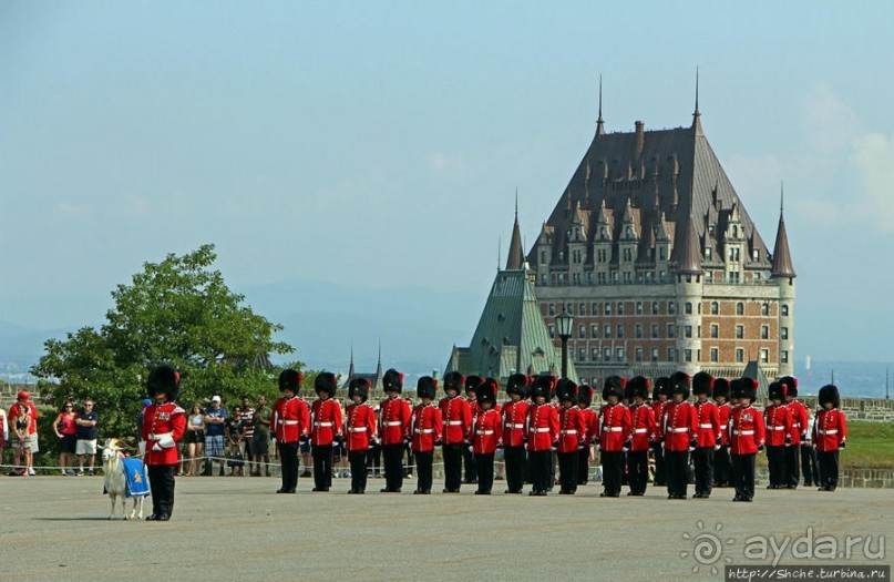 По плацу козла водили