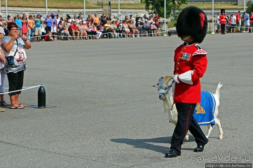 По плацу козла водили