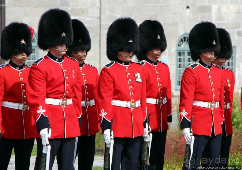 По плацу козла водили