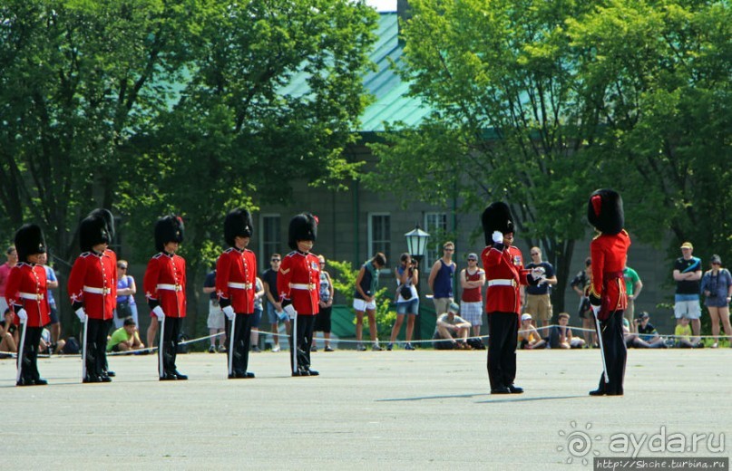 По плацу козла водили